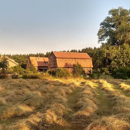 Ziegeleihof Inmitten Von Wiesen Und Waeldern Degenershausen Exteriér fotografie