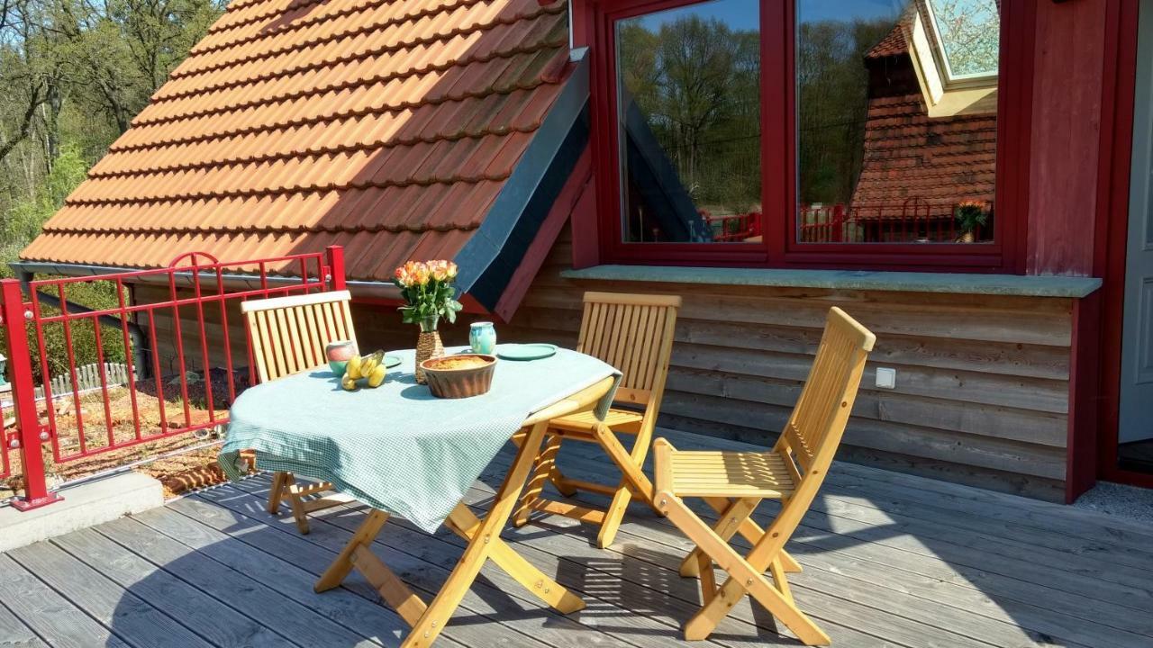 Ziegeleihof Inmitten Von Wiesen Und Waeldern Degenershausen Exteriér fotografie