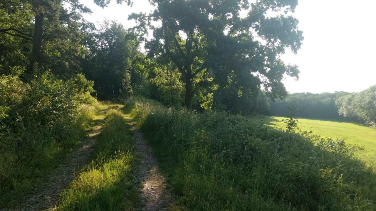 Ziegeleihof Inmitten Von Wiesen Und Waeldern Degenershausen Exteriér fotografie