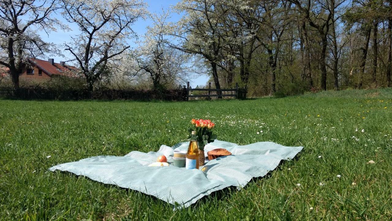 Ziegeleihof Inmitten Von Wiesen Und Waeldern Degenershausen Exteriér fotografie
